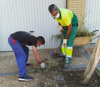 Cáritas Diocesana imarte un curso de Jardinería