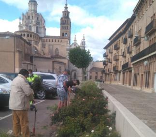 Cáritas Diocesana imarte un curso de Jardinería