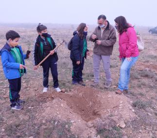 Los escolares turiasonenses plantan 1.500 árboles en la Dehesa