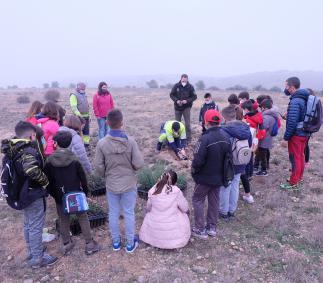 Los escolares turiasonenses plantan 1.500 árboles en la Dehesa