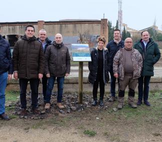 Más de 400 escolares participan en la plantación de árboles en Tarazona contra el cambio climático