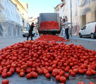 Cipotegato 2022 - Fiestas de San Atilano en Tarazona