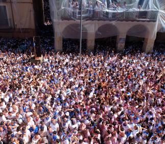 Cipotegato 2022 - Fiestas de San Atilano en Tarazona 