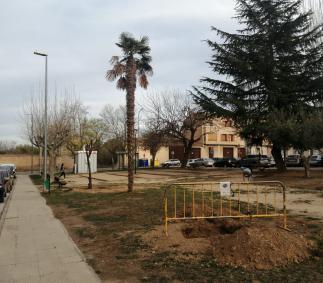 Tarazona reemplaza 200 árboles en los parques de la ciudad