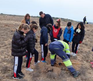 Los escolares de Tarazona plantan 1.500 árboles en la Dehesa