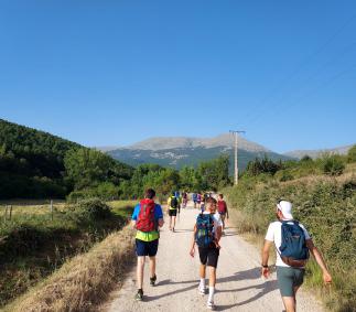 Tarazona celebra otro año más la Romería del Quililay 2022