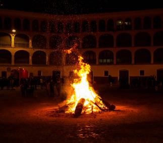 Celebración de San Antón 2020