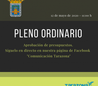 Pleno ordinario 12 de mayo 