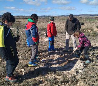 Jornadas Reforestación 2020 de la Dehesa de Tarazona