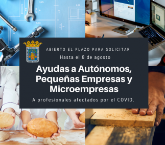 Subvención Autonomos. Pequeñas Empresas y Microempresas - Tarazona