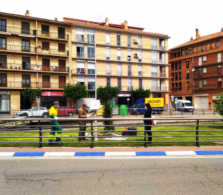 Tarazona se suma a la campaña #UnÁrbolPorEuropa