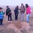 Los escolares turiasonenses plantan 1.500 árboles en la Dehesa